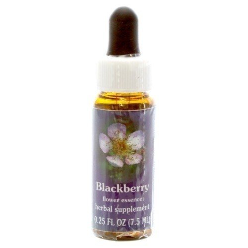 Flower Essence Services Blackberry Dropper 0.25 oz Liquid