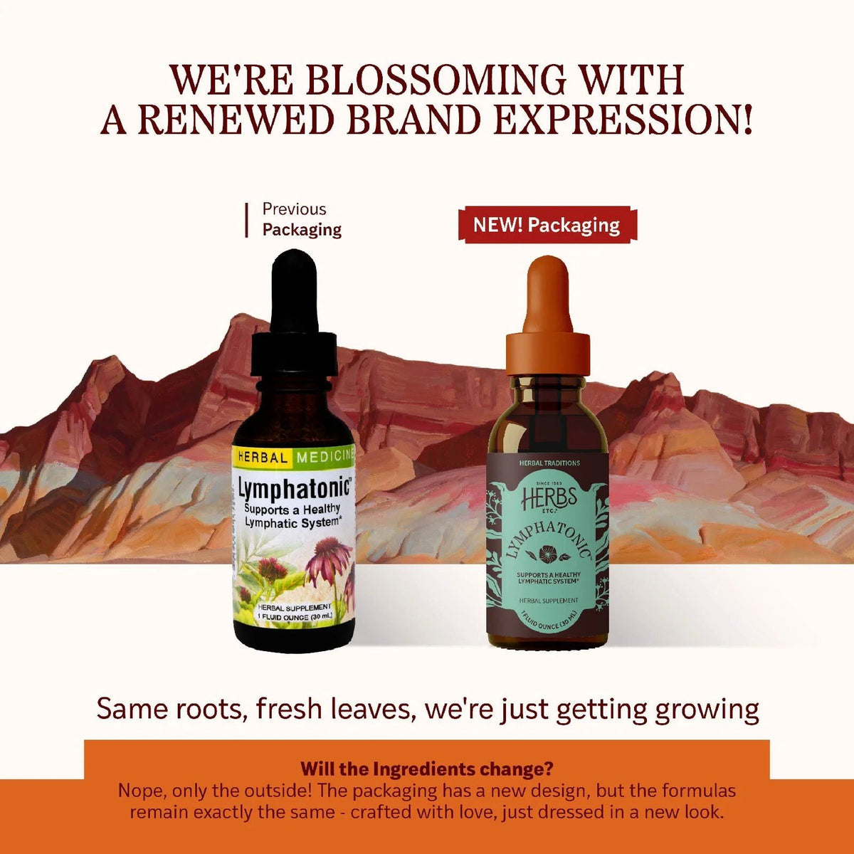 Herbs Etc Lymphatonic Classic Liquid Extract 1 oz Liquid