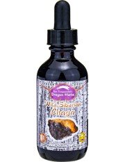 Dragon Herbs Wild Siberian Chaga Drops 2 fl oz Liquid