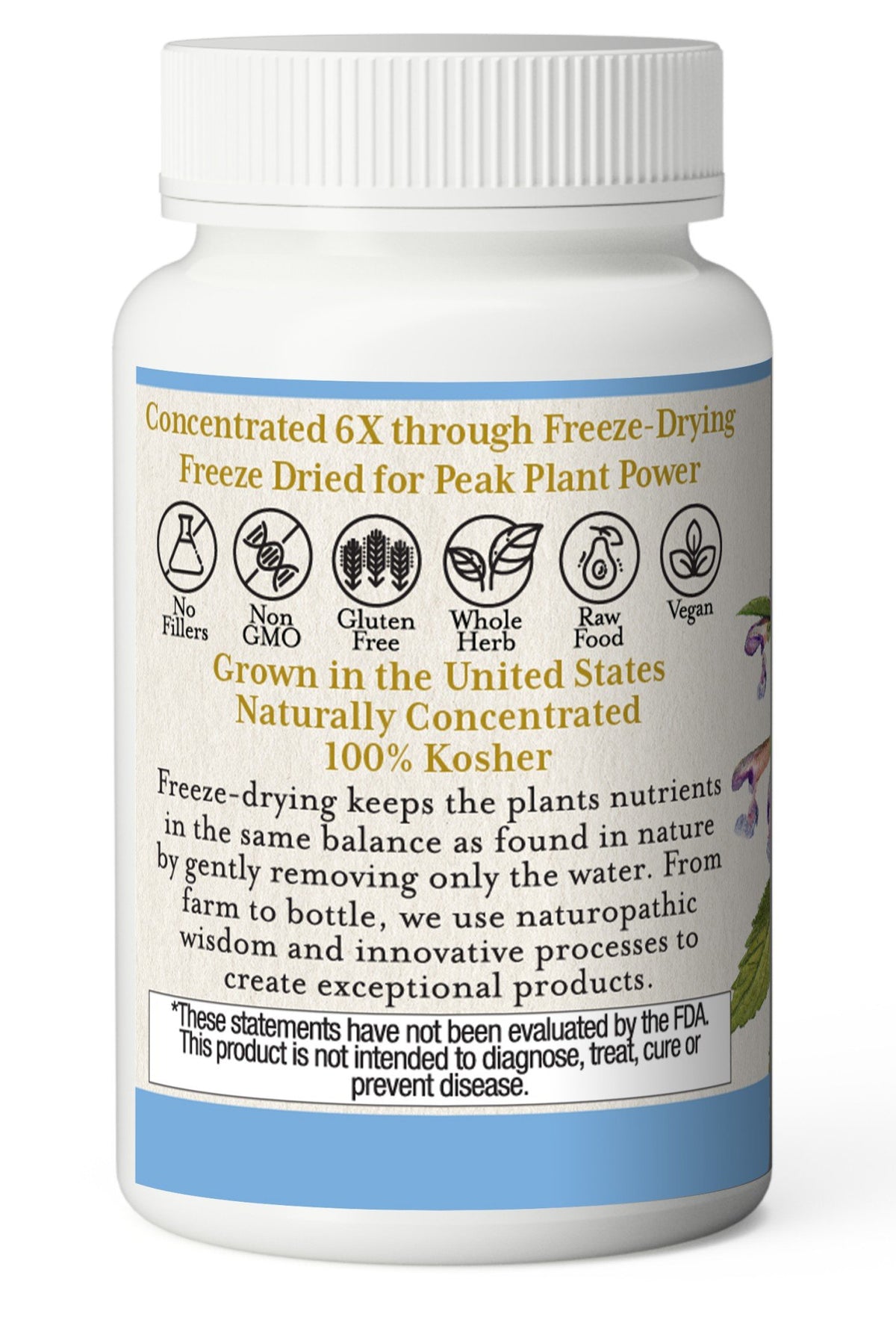 Eclectic Herb Skullcap Freeze-Dried 50 VegCap