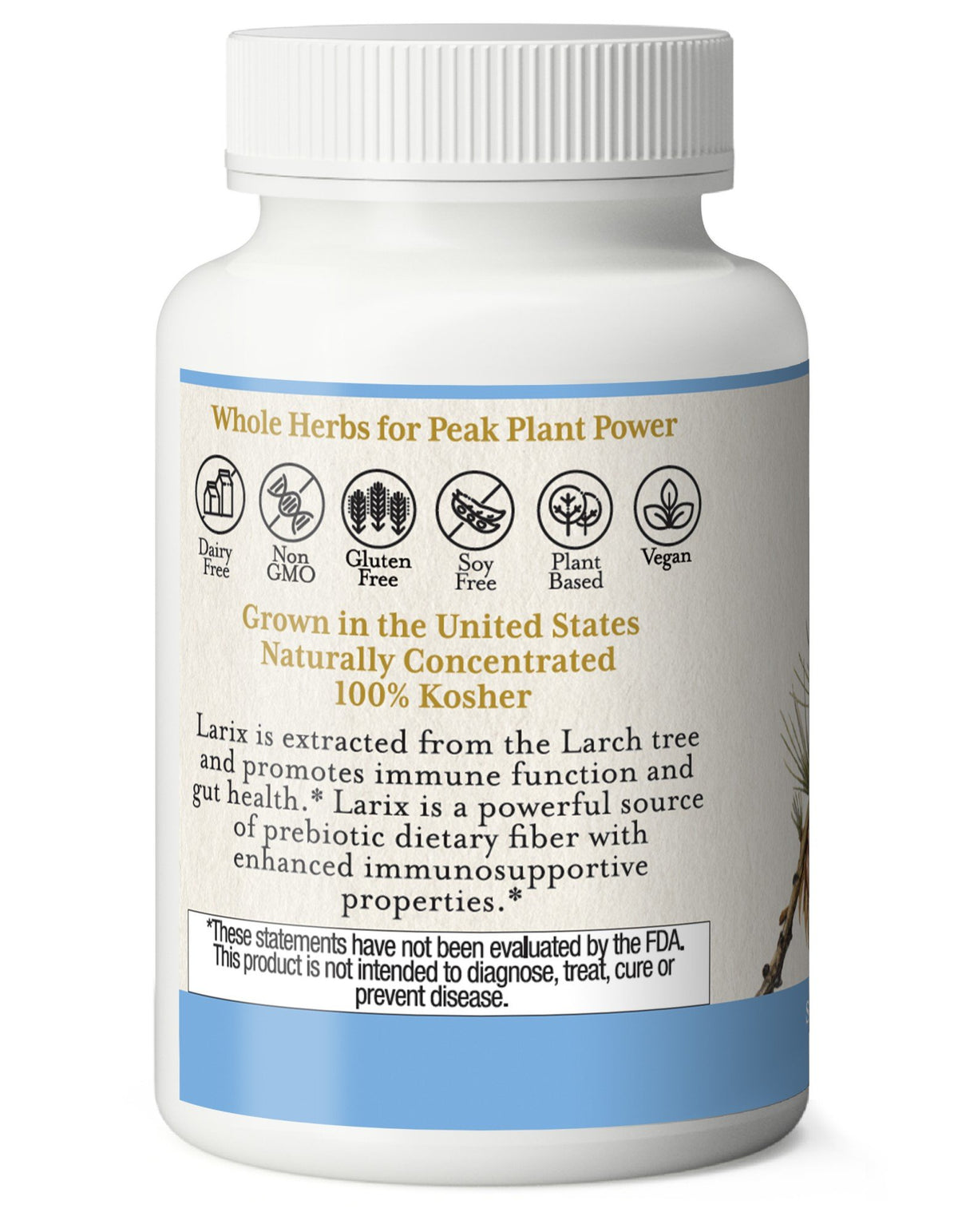 Eclectic Herb Larix 400mg 100 Capsule