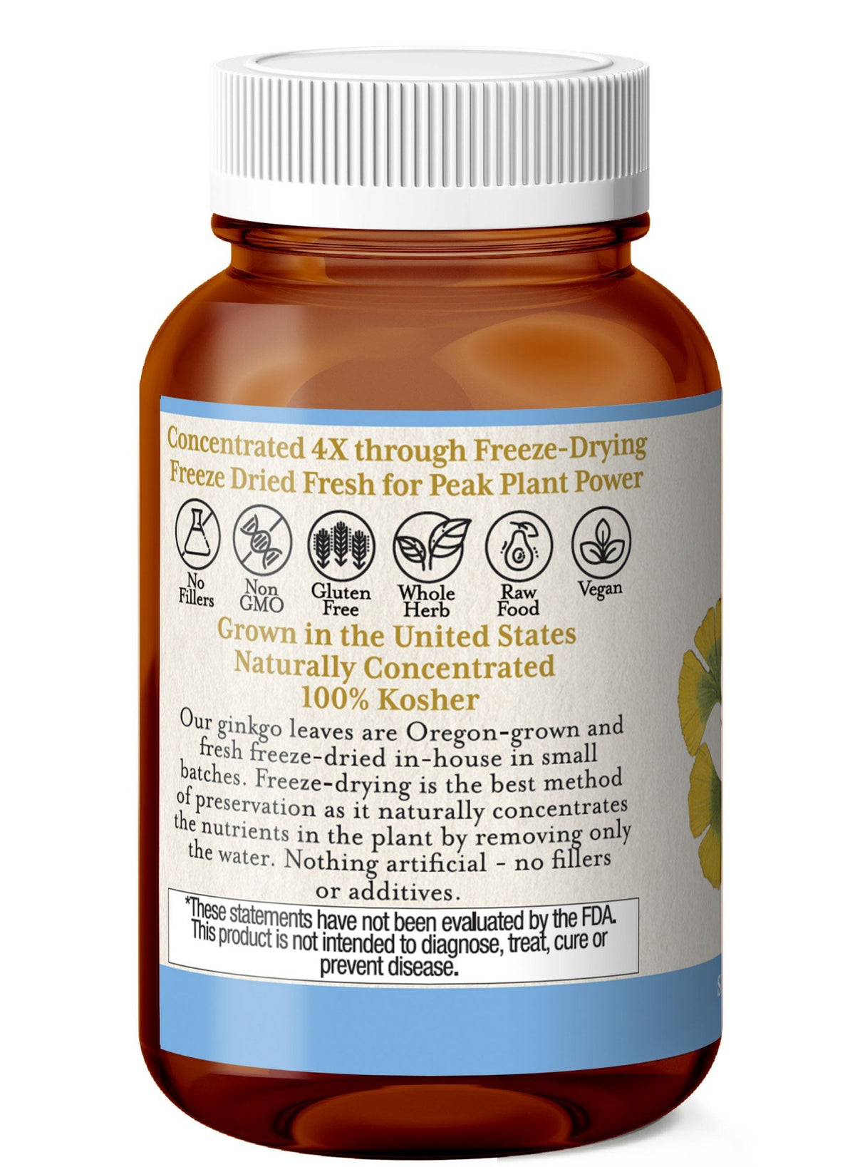 Eclectic Herb Ginkgo  450 mg 90 VegCap