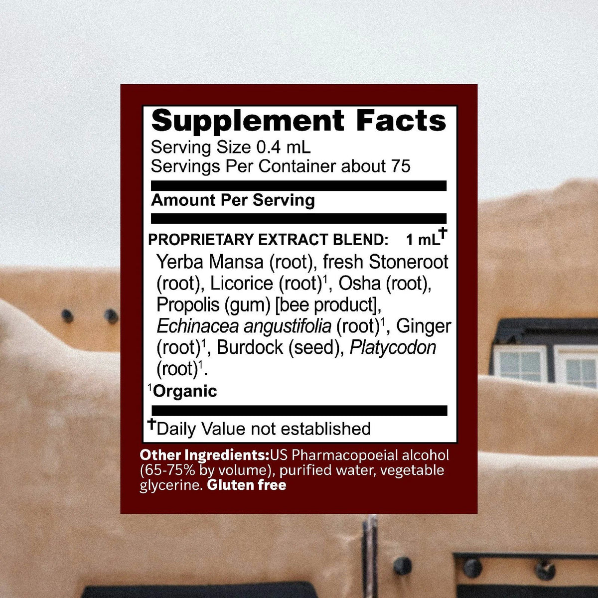 Herbs Etc Singer's Saving Grace Extra Strength Original 1 oz Liquid