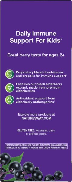 Nature&#39;s Way Sambucus Kids Syrup - Berry 4 oz Liquid