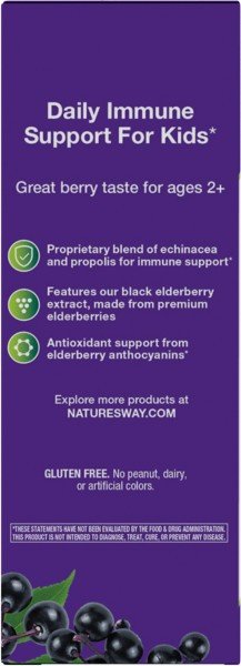 Nature&#39;s Way Sambucus for Kids - Elderberry 8 oz Liquid