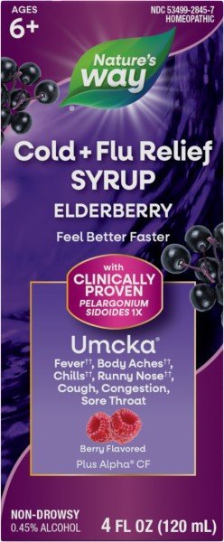 Nature&#39;s Way Umcka Elderberry Syrup 4 oz Liquid