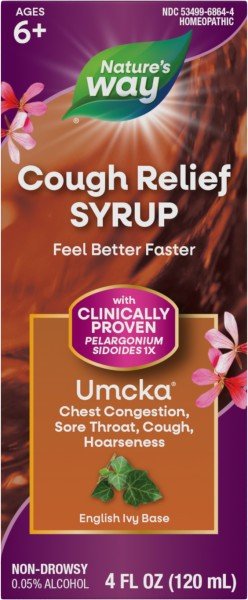 Nature&#39;s Way Umcka Cough Syrup 4 oz Liquid