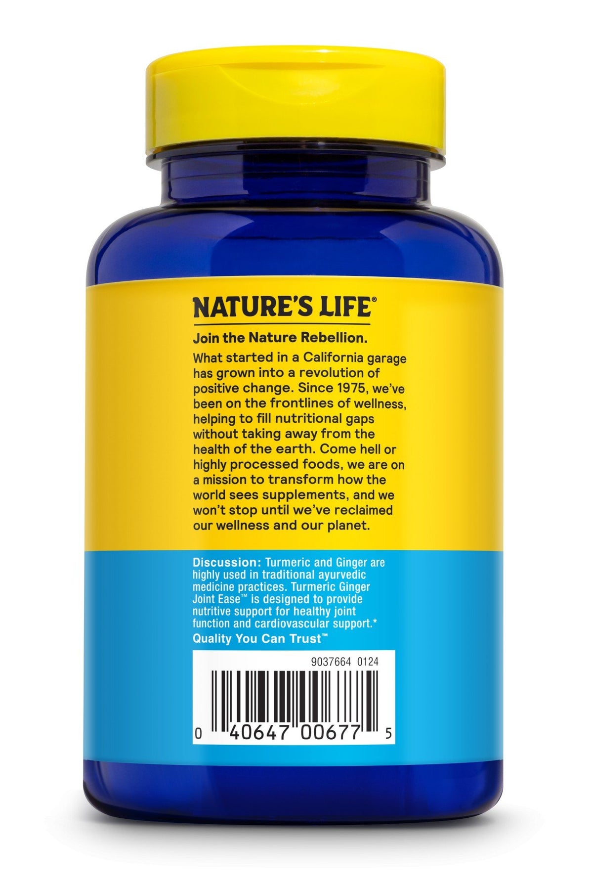 Natures Life Turmeric Ginger Joint Ease 100 Capsule