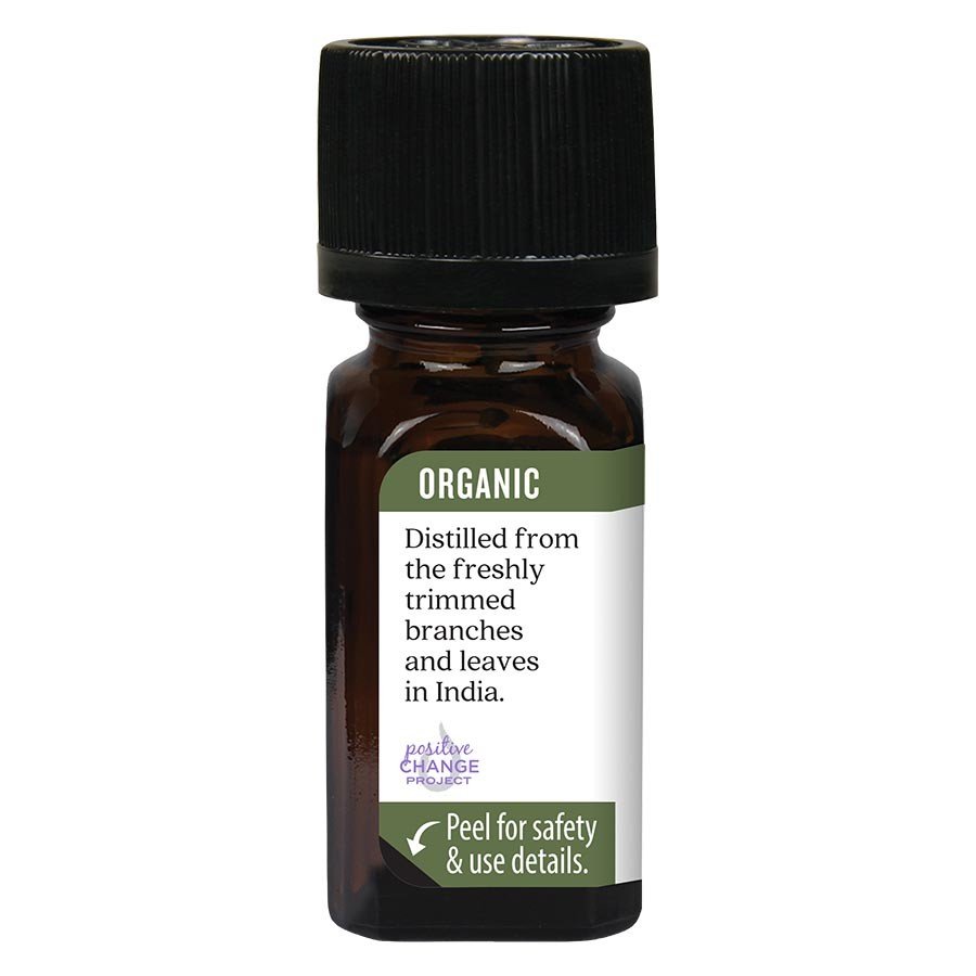 Aura Cacia Organic Cajeput Essential Oil 0.25 fl oz Oil