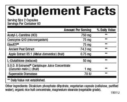 Natural Factors Regenerlife 120 VegCap