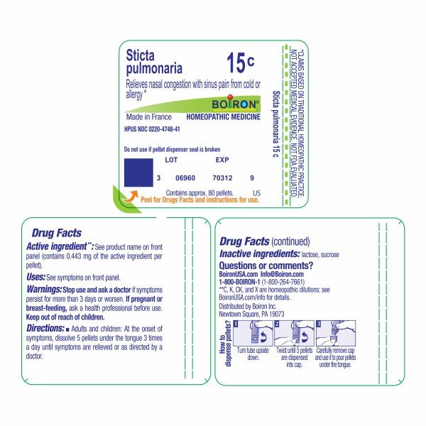 Boiron Sticta Pulmonaria 15C Homeopathic Single Medicine For Cough, Cold &amp; Flu 80 Pellet