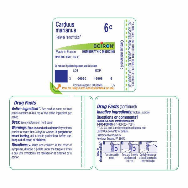 Boiron Carduus Marianus 6C Homeopathic Single Medicine For Pain 80 Pellet