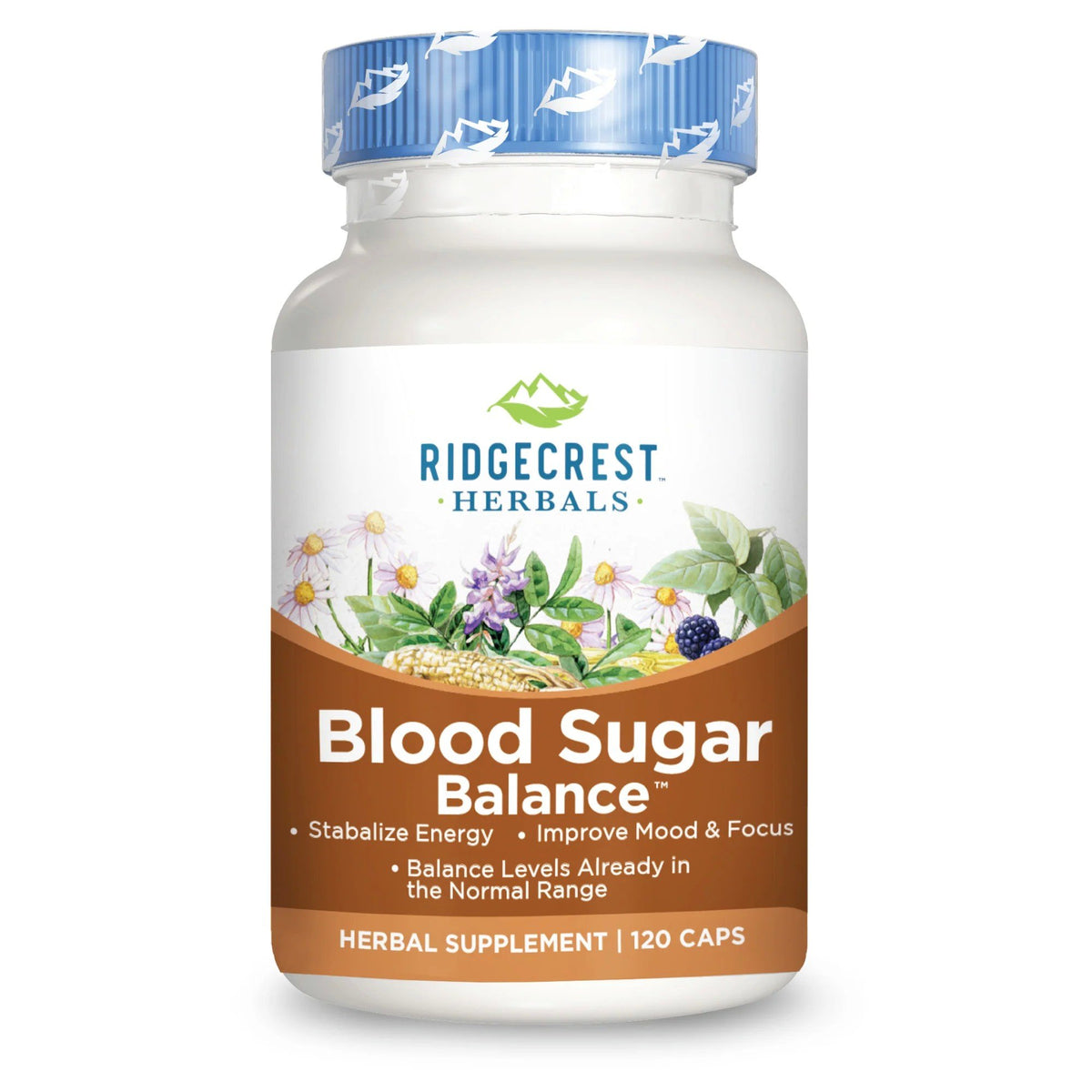 Ridgecrest Herbals Blood Sugar Balance 120 Capsule