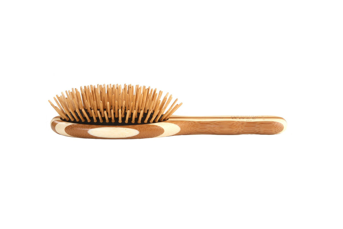 Bass Brushes Small Oval Cushion Hairbrush with  Wood Bristles Wood Handle 1 Brush