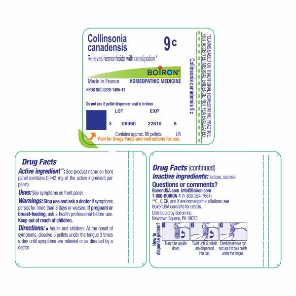 Boiron Collinsonia Canadensis 9C Homeopathic Single Medicine For Pain 80 Pellet