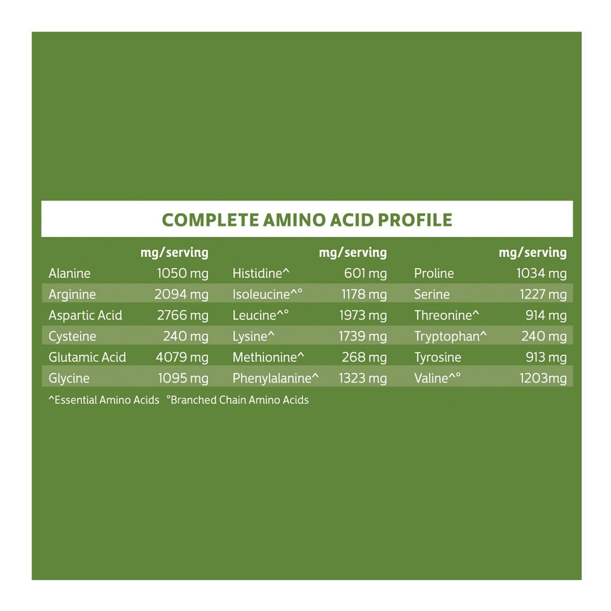 Biochem 100% Vegan Protein Vanilla 24.4 oz Powder