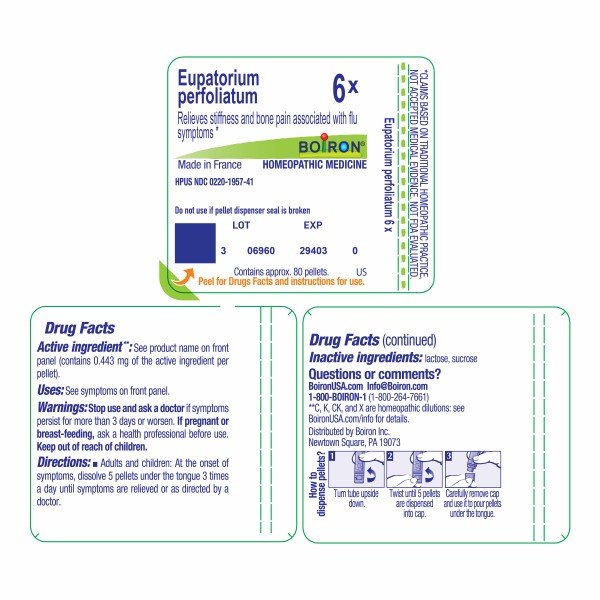 Boiron Eupatorium Perfoliatum 6X Homeopathic Single Medicine For Pain 80 Pellet