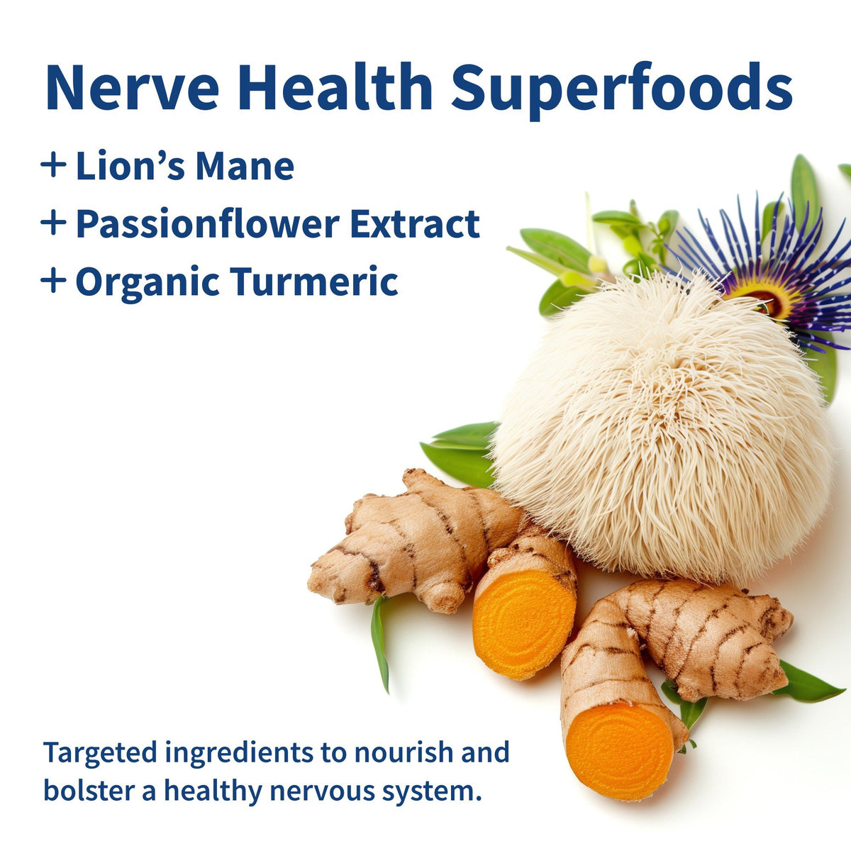 Snap Supplements Nerve Health 60 Capsule