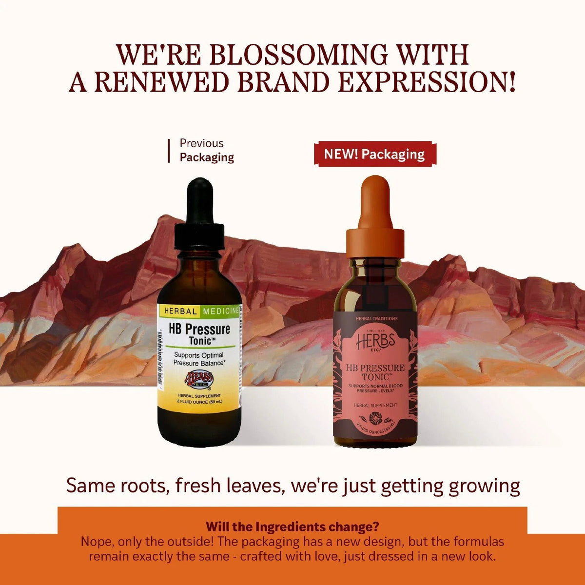 Herbs Etc HB Pressure Tonic 2 oz Liquid