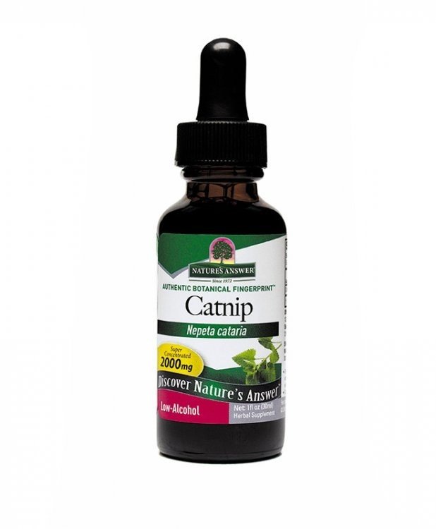 Nature's Answer Catnip Extract 1 oz Liquid