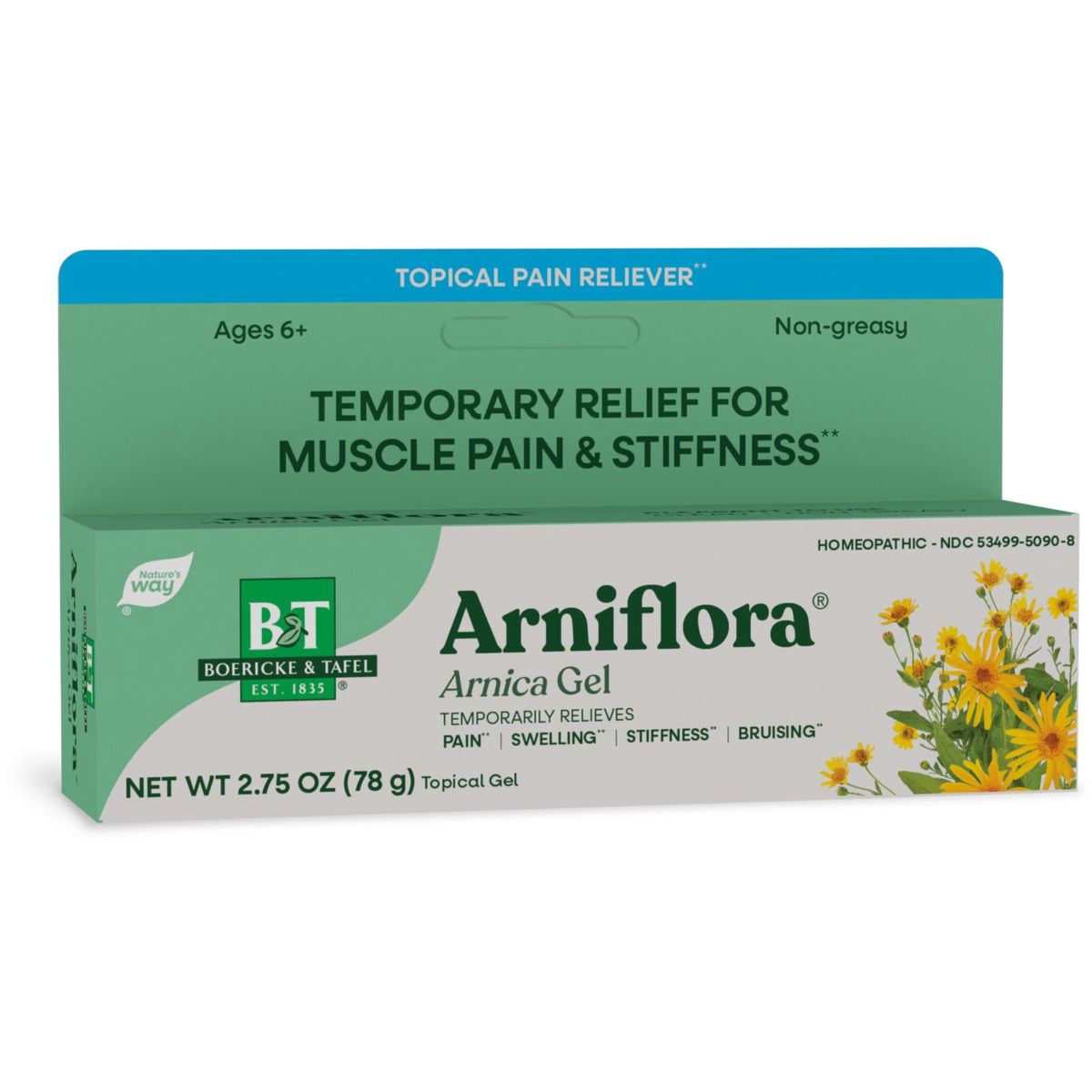 Boericke & Tafel Arniflora Arnica Gel 2.75 oz Gel