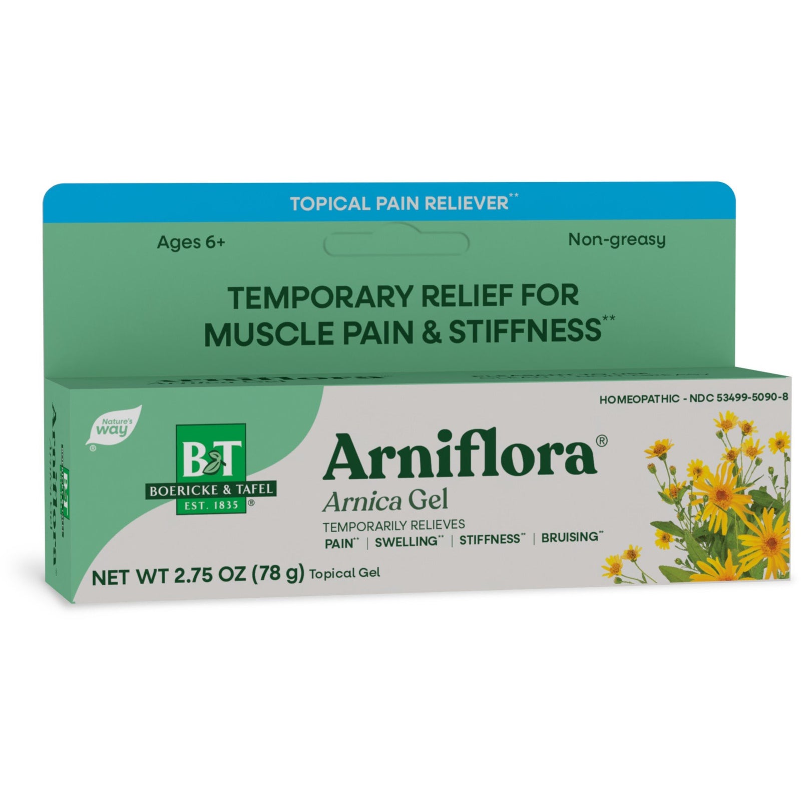 Boericke & Tafel Arniflora Arnica Gel 2.75 oz Gel
