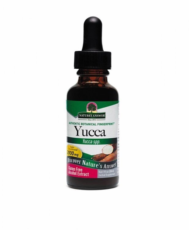 Nature's Answer Yucca Root Extract 1 oz Liquid