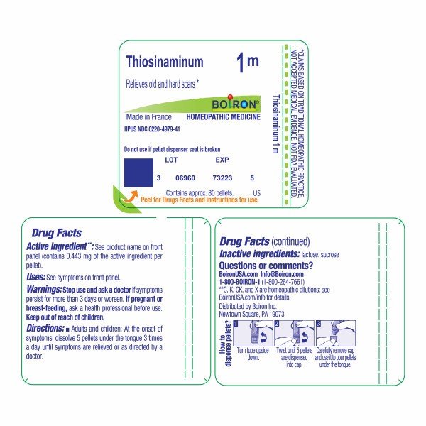 Boiron Thiosinaminum 1M Homeopathic Single Medicine For First Aid 80 Pellet