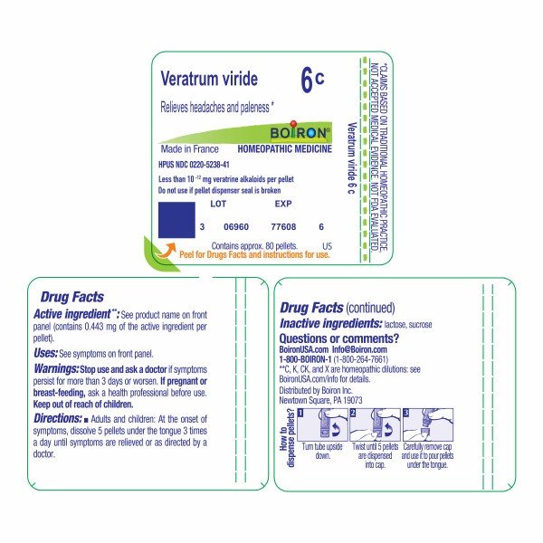 Boiron Veratrum Viride 6C Homeopathic Single Medicine For Pain 80 Pellet