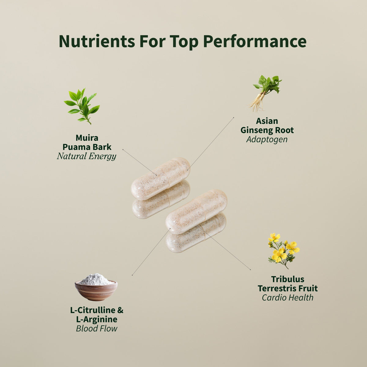 Snap Supplements Nitric Oxide Booster 90 Capsule