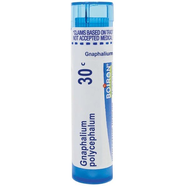 Boiron Gnaphalium Polycephalum 30C Homeopathic Single Medicine For Pain 80 Pellet