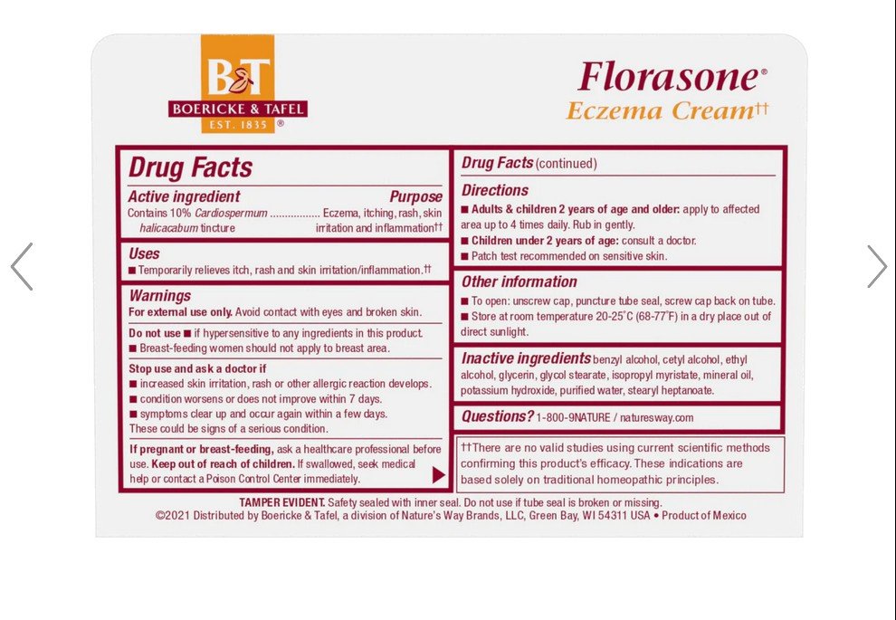 Boericke &amp; Tafel Florasone Cardiospermum Cream 1 oz Cream