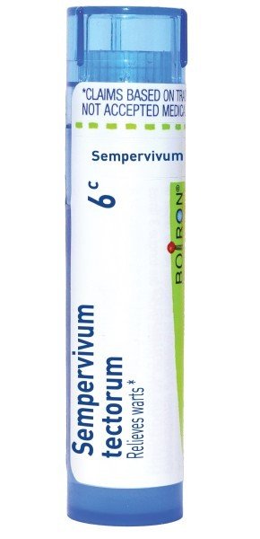 Boiron Sempervivum Tectorum 6C Homeopathic Single Medicine For First Aid 80 Pellet