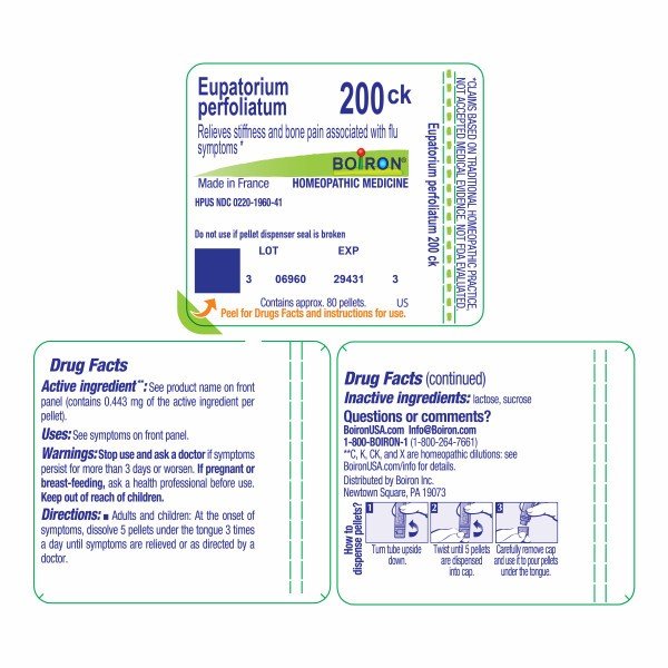 Boiron Eupatorium Perfoliatum 200CK Homeopathic Single Medicine For Pain 80 Pellet