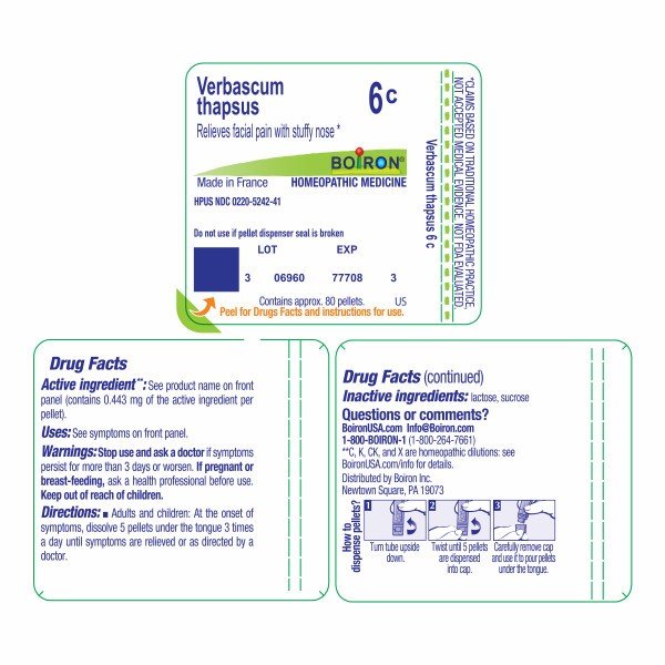 Boiron Verbascum Thapsus 6C Homeopathic Single Medicine For Pain 80 Pellet