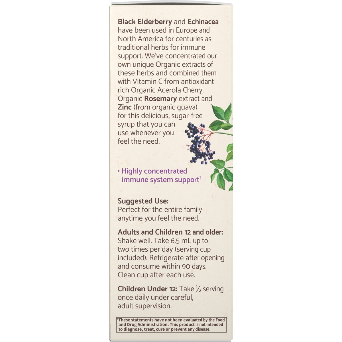 Garden of Life Garden of Life Organics Elderberry Syrup 6.59 fl oz Liquid