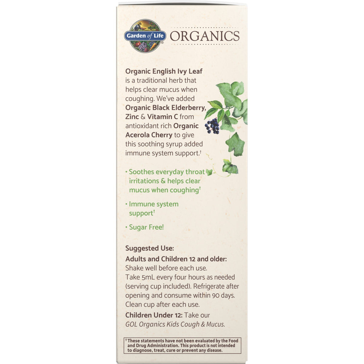 Garden of Life Garden of Life Organics Cough &amp; Mucus Immune Syrup 5 oz Liquid