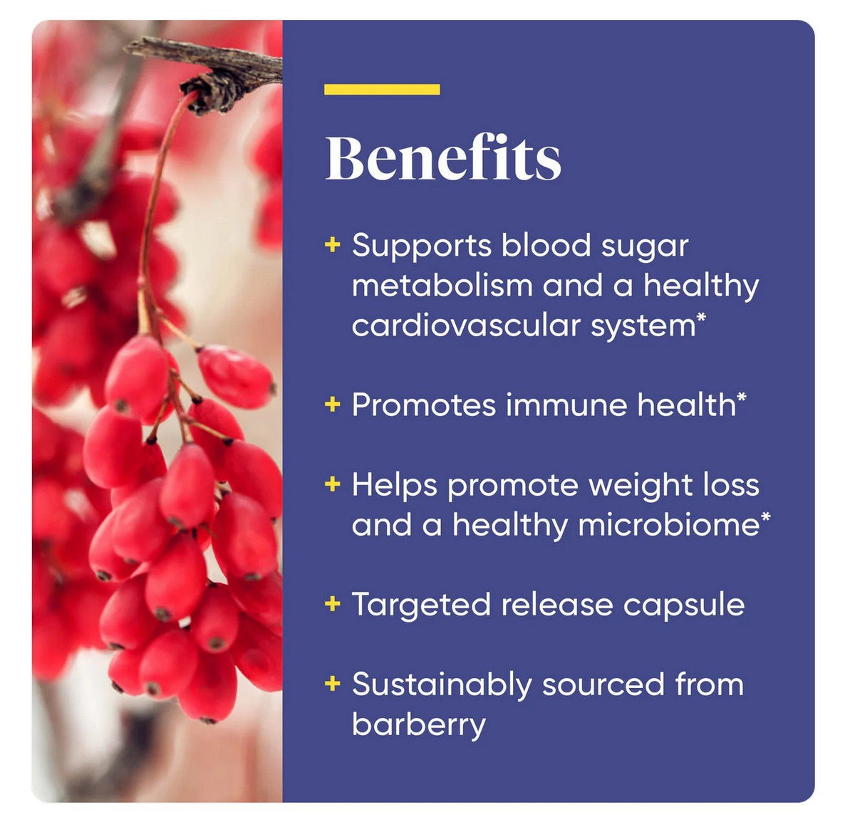 Enzymedica Berberine 120 Capsule