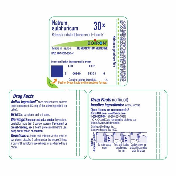 Boiron Natrum Sulphuricum 30X Homeopathic Single Medicine For Cough, Cold &amp; Flu 80 Pellet