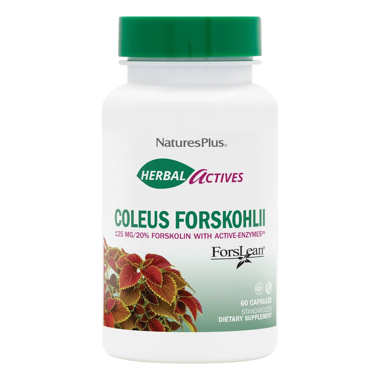 Nature's Plus Herbal Actives Coleus Forskohilli Forslean 60 Capsule