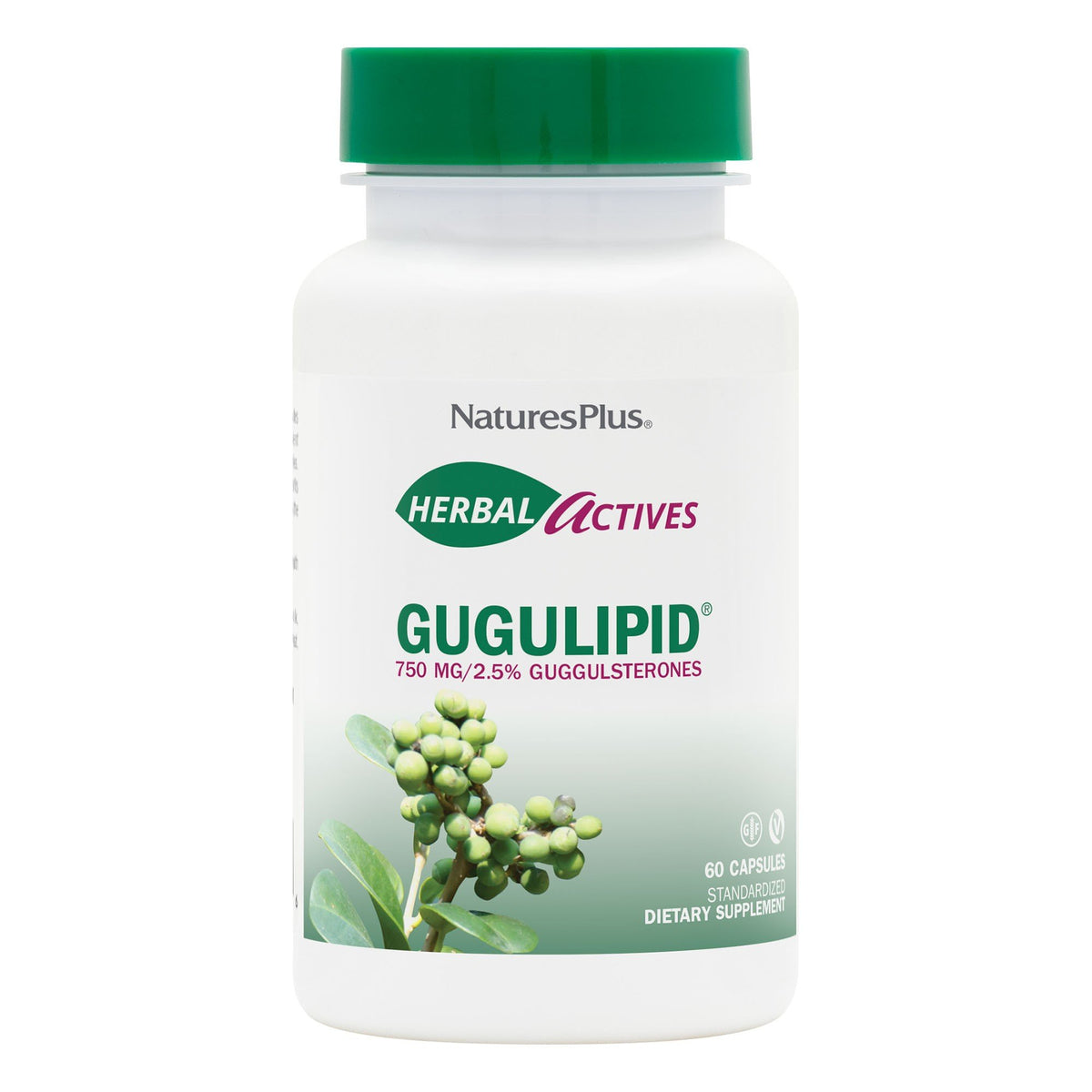 Gugulipid Extract | Natures Plus Herbal Actives | 2.5% Guggulsterones | Ayurvedic Medicine | Supports Maintaining Already Healthy Cholesterol Levels | Thyroid Support | Gluten Free | Dietary Supplement | 60 Capsules | VitaminLife