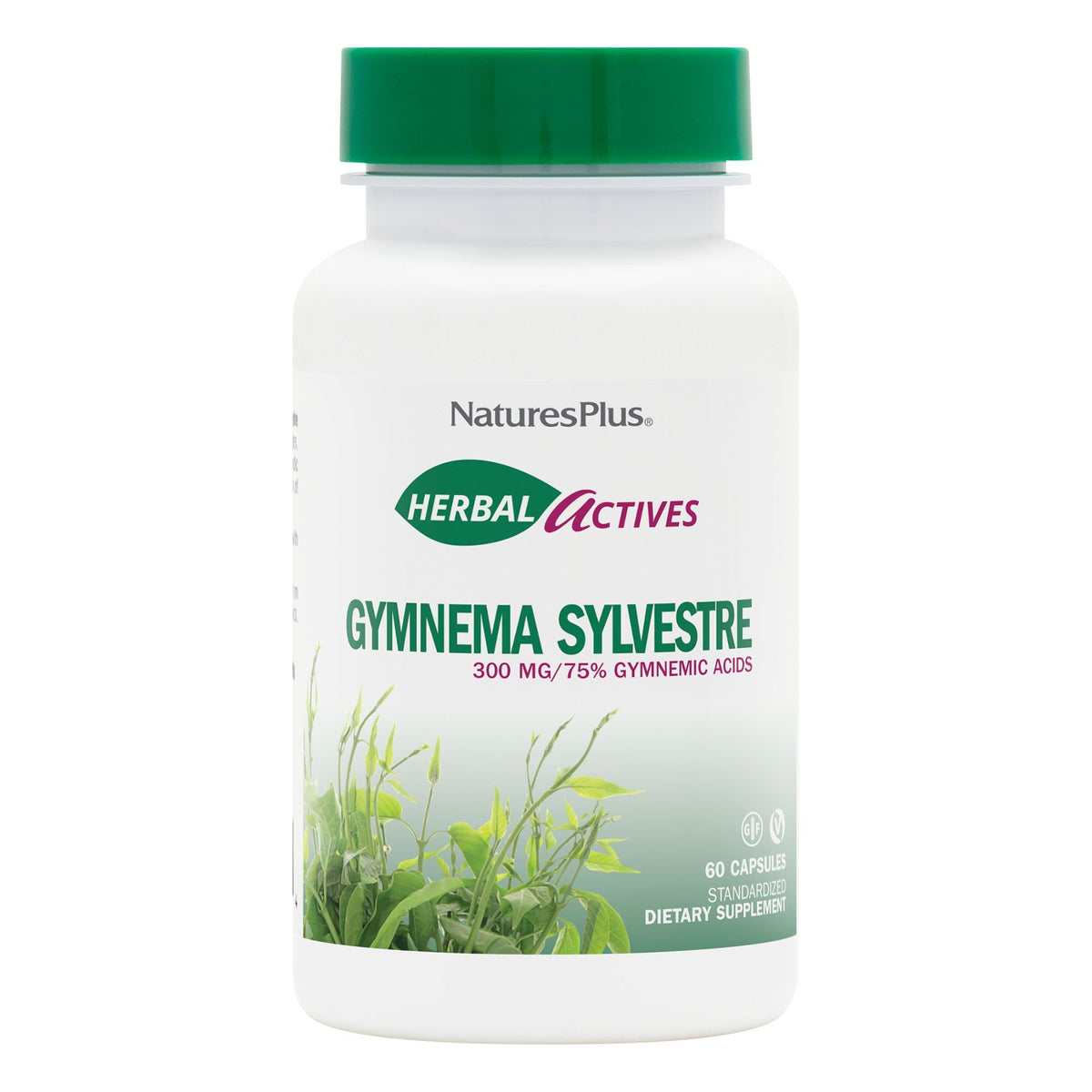 Nature's Plus Gymnema Sylvestre Extract 300mg 60 Capsule