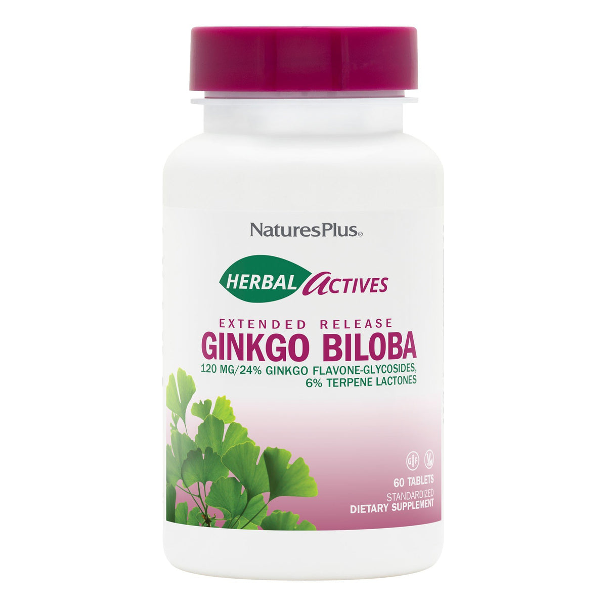 Nature's Plus Ginkgo Biloba Extract 120mg Time Release 60 Sustained Release Tablet