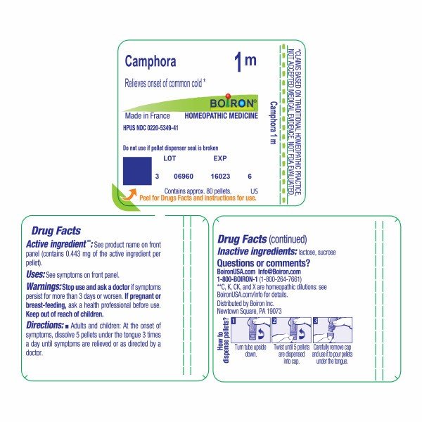 Boiron Camphora 1M Homeopathic Single Medicine For Cough, Cold &amp; Flu 80 Pellet