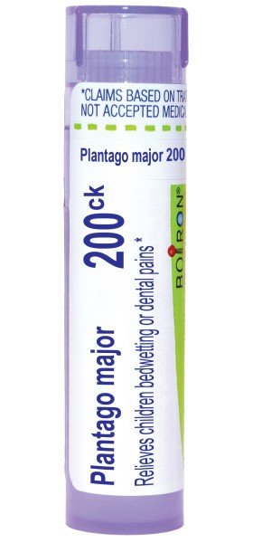 Boiron Plantago Major 200CK Homeopathic Single Medicine For Children 80 Pellet