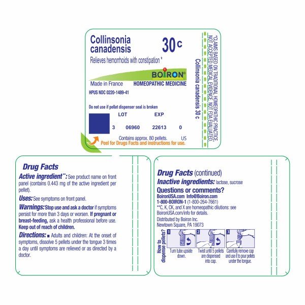 Boiron Collinsonia Canadensis 30C Homeopathic Single Medicine For Pain 80 Pellet