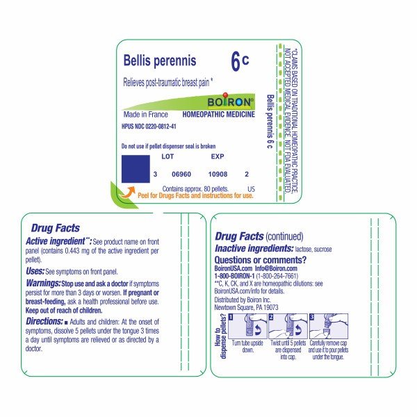 Boiron Bellis Perennis 6C Homeopathic Single Medicine For Pain 80 Pellet