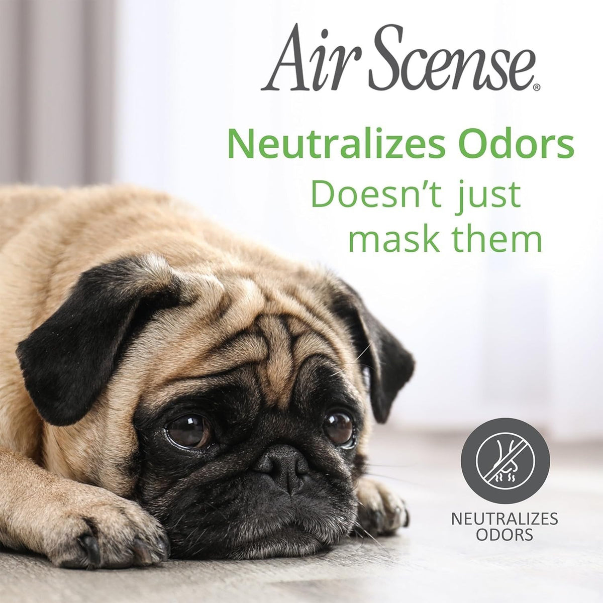 Air Scense Lavender Spray 7 oz Spray