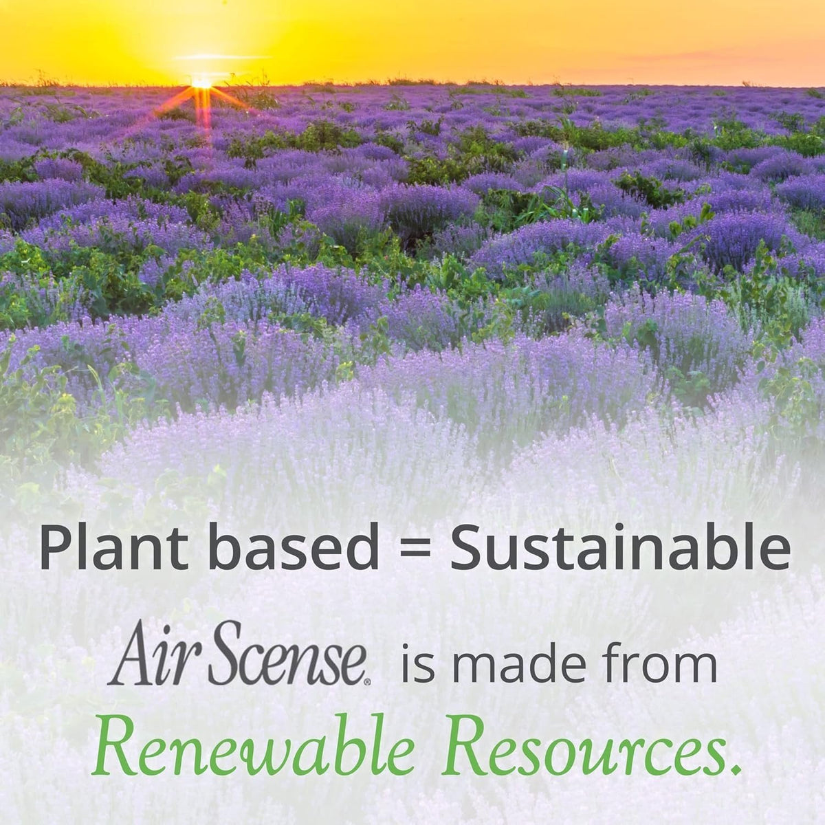 Air Scense Lavender Spray 7 oz Spray