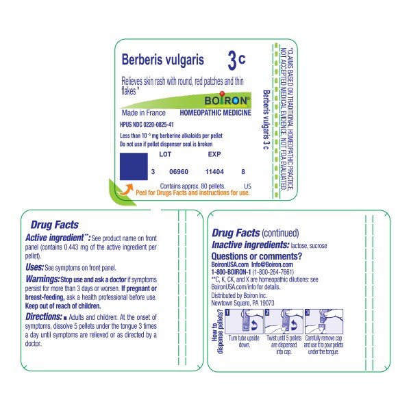 Boiron Berberis Vulgaris 3C Homeopathic Single Medicine For First Aid 80 Pellet